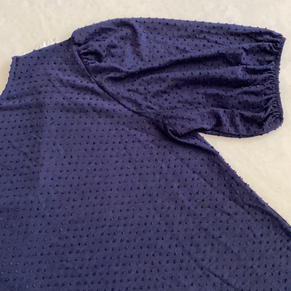 W5 | Pointed Scallop Bib Collar Swiss Dot Short Sleeve Blouse Top Blue/White (L) - Picture 13 of 14